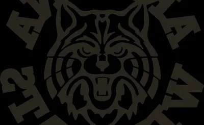 Arizona Wildcats