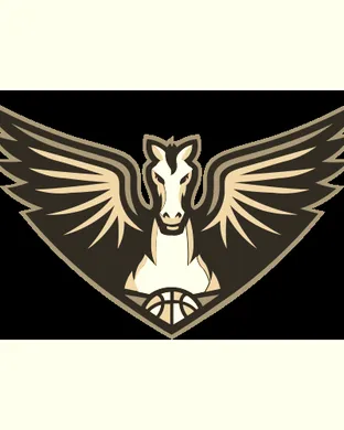 Dallas Wings