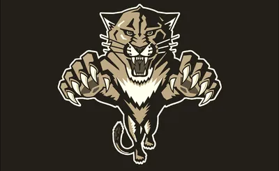 Florida Panthers